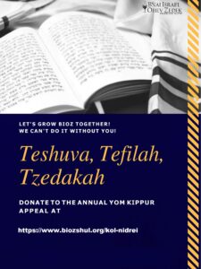 Donate to the Annual Yom Kippur Appeal