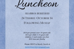 Shabbos Bereishis Lunceon