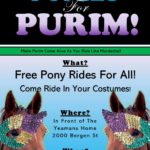 Ponies For Purim
